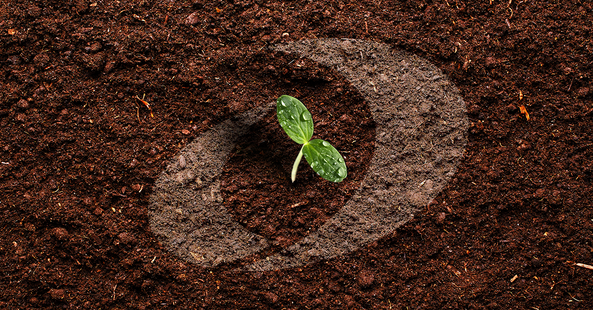 Sacs certifiés compostables