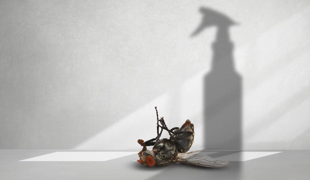 Quels sont les meilleurs produits contre les insectes?